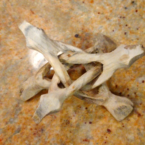 Abalone Shell on Stand - Picture 4 of 4